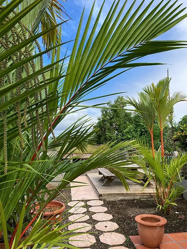 Villa La Roserie Ducos